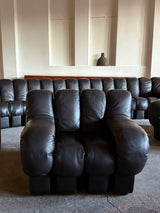 DE SEDE DS-600 „TATZELWURM“ SOFA BROWN LEATHER 24 PIECES, SWITZERLAND 1980s
