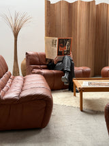 CARL STRAUB SECTIONAL MODULAR LOUNGE SEATING GROUP EASY CHAIR & SOFA LEATHER, GERMANY 1970s