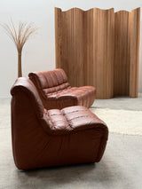 CARL STRAUB SECTIONAL MODULAR LOUNGE SEATING GROUP EASY CHAIR & SOFA LEATHER, GERMANY 1970s