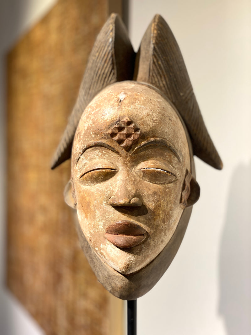 Sehr Ästhetische Punu Maske Gabun Afrika Auf Metallständer